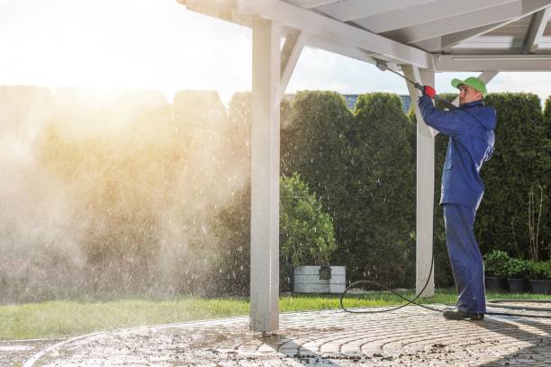Best Roof Washing  in Belle Plaine, MN